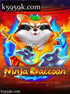 NinjaRaccoon